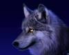 <b>Название: </b>wolf1, <b>Добавил:<b> ADMIN<br>Размеры: 1024x768, 93.9 Кб