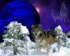 <b>Название: </b>Winter-Wolf-wolves-175865_1024_768, <b>Добавил:<b> ADMIN<br>Размеры: 1024x768, 93.9 Кб