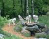 <b>Название: </b>wolf-pack-1024x768, <b>Добавил:<b> ADMIN<br>Размеры: 1024x768, 93.9 Кб